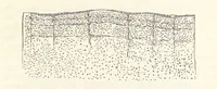 An illustration from Geology and Terrestial Magnetism ... Third edition, with a new and illustrated introduction and appendix, twenty-nine plates, and numerous woodcuts (1865)
