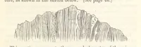 An illustration from Geology and Terrestial Magnetism ... Third edition, with a new and illustrated introduction and appendix, twenty-nine plates, and numerous woodcuts (1865)