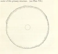 Picture 21 of 78 from Geology and Terrestial Magnetism ... Third edition, with a new and illustrated introduction and appendix, twenty-nine plates, and numerous woodcuts (1865), leaf 121