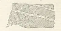 An illustration from Geology and Terrestial Magnetism ... Third edition, with a new and illustrated introduction and appendix, twenty-nine plates, and numerous woodcuts (1865)