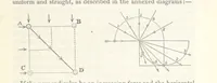 Picture 48 of 78 from Geology and Terrestial Magnetism ... Third edition, with a new and illustrated introduction and appendix, twenty-nine plates, and numerous woodcuts (1865), leaf 265
