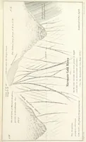 Picture 69 of 78 from Geology and Terrestial Magnetism ... Third edition, with a new and illustrated introduction and appendix, twenty-nine plates, and numerous woodcuts (1865), leaf 327
