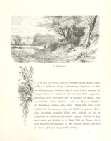 An illustration from Der Starnberger See, Bavaria. Eine Wanderung durch seine Uferorte. Wort und Bild von G. A. H. Holzschnitte von H. Wolf (1876)