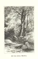 An illustration from Der Starnberger See, Bavaria. Eine Wanderung durch seine Uferorte. Wort und Bild von G. A. H. Holzschnitte von H. Wolf (1876)
