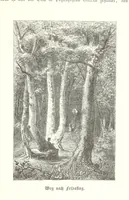 An illustration from Der Starnberger See, Bavaria. Eine Wanderung durch seine Uferorte. Wort und Bild von G. A. H. Holzschnitte von H. Wolf (1876)