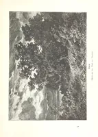 An illustration from Der Starnberger See, Bavaria. Eine Wanderung durch seine Uferorte. Wort und Bild von G. A. H. Holzschnitte von H. Wolf (1876)