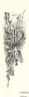 An illustration from Der Starnberger See, Bavaria. Eine Wanderung durch seine Uferorte. Wort und Bild von G. A. H. Holzschnitte von H. Wolf (1876)