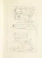 An illustration from The Spirit of the Plays of Shakspeare exhibited in a Series of Outline Plates, illustrative of the story of each play ... With quotations and descriptions. L.P (1833)