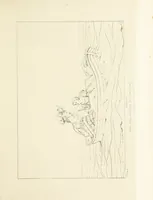 An illustration from The Spirit of the Plays of Shakspeare exhibited in a Series of Outline Plates, illustrative of the story of each play ... With quotations and descriptions. L.P (1833)