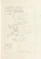 Picture 27 of 94 from The Spirit of the Plays of Shakspeare exhibited in a Series of Outline Plates, illustrative of the story of each play ... With quotations and descriptions. L.P (1833), leaf 95