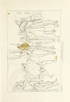 An illustration from The Spirit of the Plays of Shakspeare exhibited in a Series of Outline Plates, illustrative of the story of each play ... With quotations and descriptions. L.P (1833)