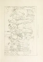 An illustration from The Spirit of the Plays of Shakspeare exhibited in a Series of Outline Plates, illustrative of the story of each play ... With quotations and descriptions. L.P (1833)