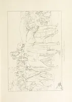 An illustration from The Spirit of the Plays of Shakspeare exhibited in a Series of Outline Plates, illustrative of the story of each play ... With quotations and descriptions. L.P (1833)