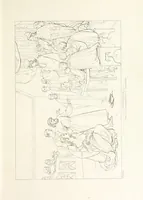 An illustration from The Spirit of the Plays of Shakspeare exhibited in a Series of Outline Plates, illustrative of the story of each play ... With quotations and descriptions. L.P (1833)