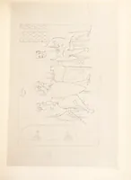 An illustration from The Spirit of the Plays of Shakspeare exhibited in a Series of Outline Plates, illustrative of the story of each play ... With quotations and descriptions. L.P (1833)
