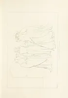 An illustration from The Spirit of the Plays of Shakspeare exhibited in a Series of Outline Plates, illustrative of the story of each play ... With quotations and descriptions. L.P (1833)