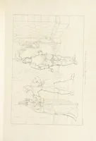An illustration from The Spirit of the Plays of Shakspeare exhibited in a Series of Outline Plates, illustrative of the story of each play ... With quotations and descriptions. L.P (1833)