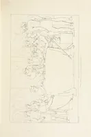 An illustration from The Spirit of the Plays of Shakspeare exhibited in a Series of Outline Plates, illustrative of the story of each play ... With quotations and descriptions. L.P (1833)