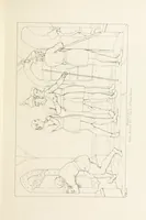 An illustration from The Spirit of the Plays of Shakspeare exhibited in a Series of Outline Plates, illustrative of the story of each play ... With quotations and descriptions. L.P (1833)