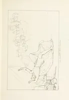 An illustration from The Spirit of the Plays of Shakspeare exhibited in a Series of Outline Plates, illustrative of the story of each play ... With quotations and descriptions. L.P (1833)