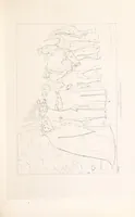 An illustration from The Spirit of the Plays of Shakspeare exhibited in a Series of Outline Plates, illustrative of the story of each play ... With quotations and descriptions. L.P (1833)