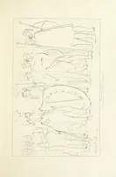 An illustration from The Spirit of the Plays of Shakspeare exhibited in a Series of Outline Plates, illustrative of the story of each play ... With quotations and descriptions. L.P (1833)