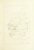 An illustration from The Spirit of the Plays of Shakspeare exhibited in a Series of Outline Plates, illustrative of the story of each play ... With quotations and descriptions. L.P (1833)