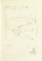 An illustration from The Spirit of the Plays of Shakspeare exhibited in a Series of Outline Plates, illustrative of the story of each play ... With quotations and descriptions. L.P (1833)