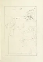 An illustration from The Spirit of the Plays of Shakspeare exhibited in a Series of Outline Plates, illustrative of the story of each play ... With quotations and descriptions. L.P (1833)