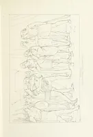 An illustration from The Spirit of the Plays of Shakspeare exhibited in a Series of Outline Plates, illustrative of the story of each play ... With quotations and descriptions. L.P (1833)