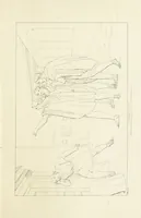 An illustration from The Spirit of the Plays of Shakspeare exhibited in a Series of Outline Plates, illustrative of the story of each play ... With quotations and descriptions. L.P (1833)