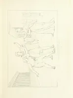 An illustration from The Spirit of the Plays of Shakspeare exhibited in a Series of Outline Plates, illustrative of the story of each play ... With quotations and descriptions. L.P (1833)