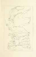 An illustration from The Spirit of the Plays of Shakspeare exhibited in a Series of Outline Plates, illustrative of the story of each play ... With quotations and descriptions. L.P (1833)