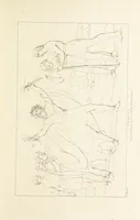 An illustration from The Spirit of the Plays of Shakspeare exhibited in a Series of Outline Plates, illustrative of the story of each play ... With quotations and descriptions. L.P (1833)