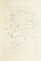 An illustration from The Spirit of the Plays of Shakspeare exhibited in a Series of Outline Plates, illustrative of the story of each play ... With quotations and descriptions. L.P (1833)