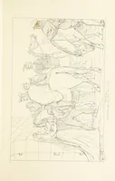 An illustration from The Spirit of the Plays of Shakspeare exhibited in a Series of Outline Plates, illustrative of the story of each play ... With quotations and descriptions. L.P (1833)