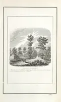 An illustration from Historical Collections of the Great West; containing narrations of the most important ... events in Western History, remarkable individual adventures, sketches of frontier life, descriptions of natural curiosities ... Historical and descriptive sketches of Oregon, New Mexico, Texas, Minnesota, Utah and California (1851)