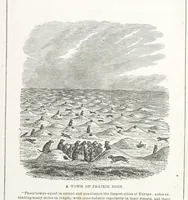 Picture 10 of 36 from Historical Collections of the Great West; containing narrations of the most important ... events in Western History, remarkable individual adventures, sketches of frontier life, descriptions of natural curiosities ... Historical and descriptive sketches of Oregon, New Mexico, Texas, Minnesota, Utah and California (1851), leaf 79