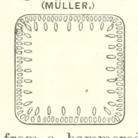 Picture 13 of 161 from The Metallurgy of Steel. Vol. 1 (1890), leaf 168