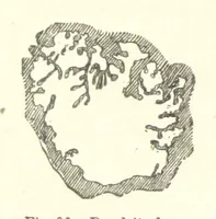 An illustration from The Metallurgy of Steel. Vol. 1 (1890)