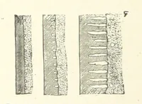 An illustration from The Metallurgy of Steel. Vol. 1 (1890)