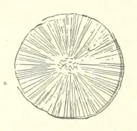 An illustration from The Metallurgy of Steel. Vol. 1 (1890)