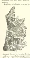 Picture 22 of 161 from The Metallurgy of Steel. Vol. 1 (1890), leaf 170