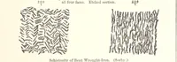 Picture 56 of 161 from The Metallurgy of Steel. Vol. 1 (1890), leaf 215