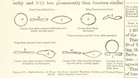 Picture 78 of 161 from The Metallurgy of Steel. Vol. 1 (1890), leaf 252