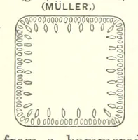 Picture 13 of 178 from The Metallurgy of Steel. ... Second edition ... enlarged. Vol. 1 (1891), leaf 170