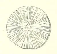 An illustration from The Metallurgy of Steel. ... Second edition ... enlarged. Vol. 1 (1891)
