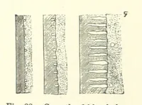 An illustration from The Metallurgy of Steel. ... Second edition ... enlarged. Vol. 1 (1891)