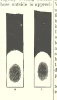 Picture 53 of 178 from The Metallurgy of Steel. ... Second edition ... enlarged. Vol. 1 (1891), leaf 210