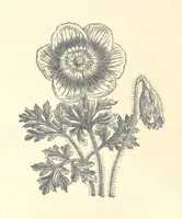 An illustration from De Paris à Jérusalem; impressions & souvenirs du VIme. Pélerinage de Pénitence (1888)